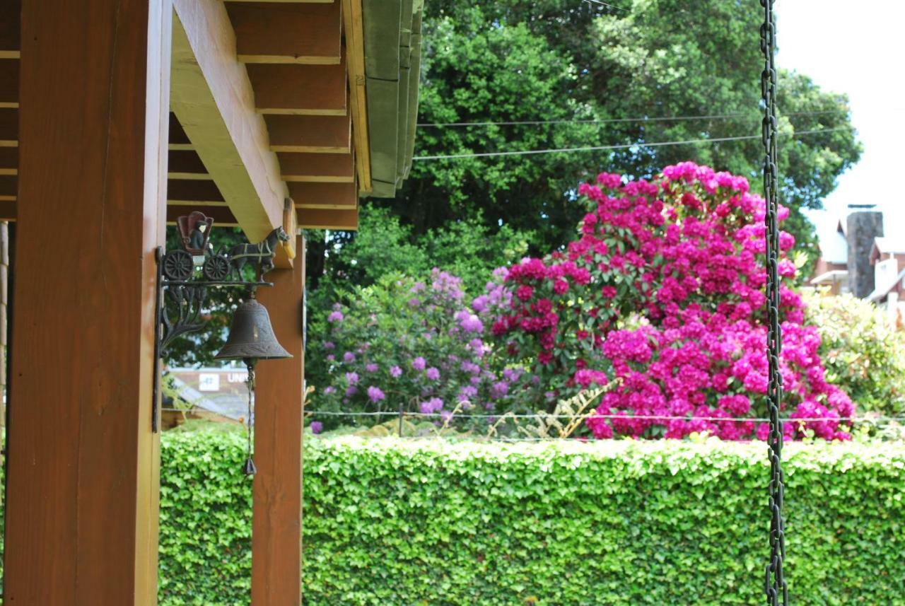 Frontera Pucon Hostel B&B Exterior photo